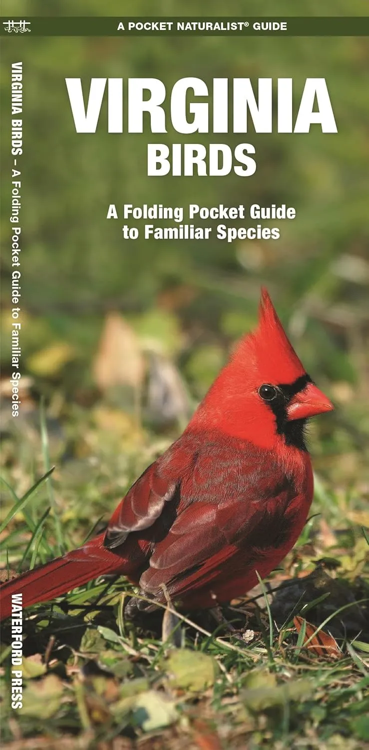 Virginia Birds: A Folding Pocket Guide to Familiar Species (Nature Observation North America) Pamphlet  February 28, 2025